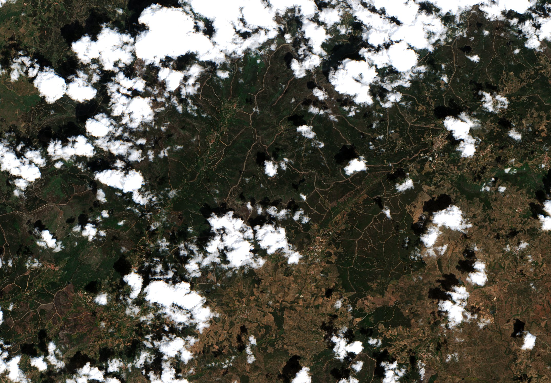 Sentinel-2 images
