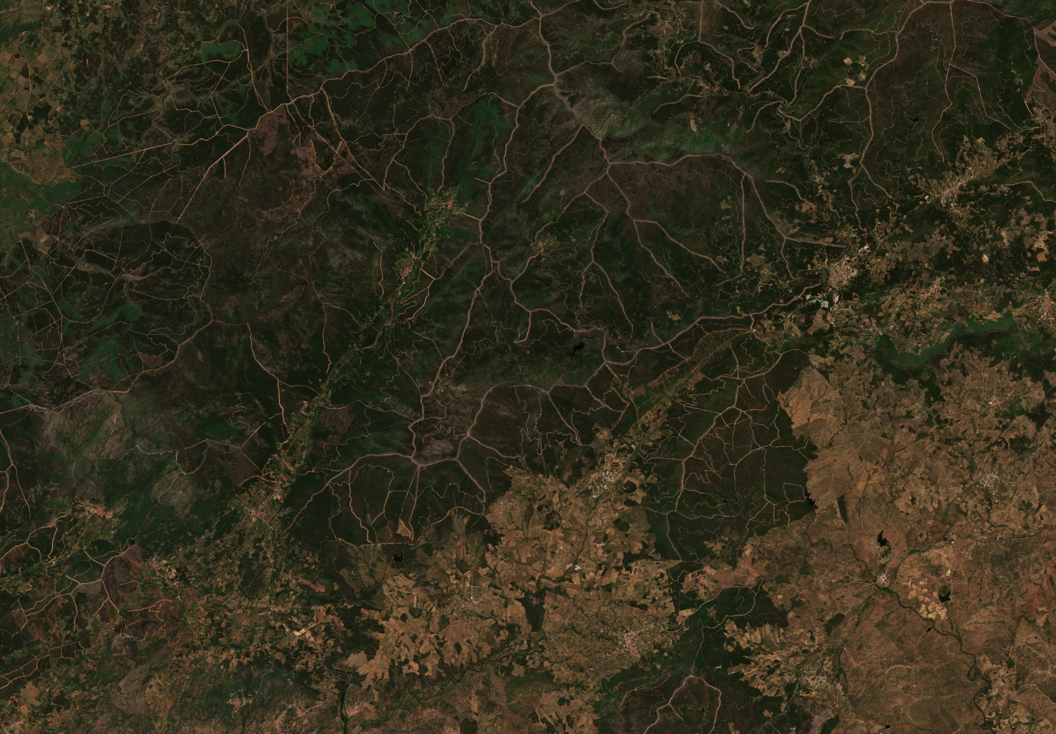 The area before the fire, May 11, 2023