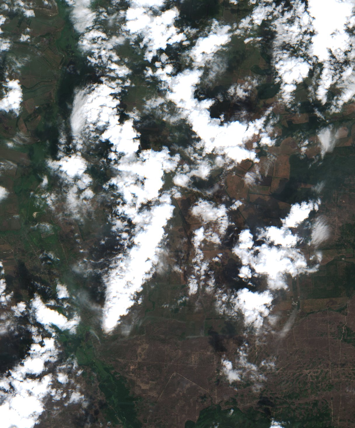 Sentinel-2 images