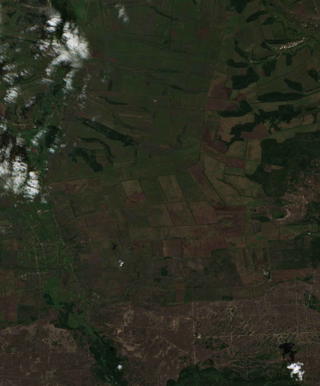 The area before the fire, August 5, 2026