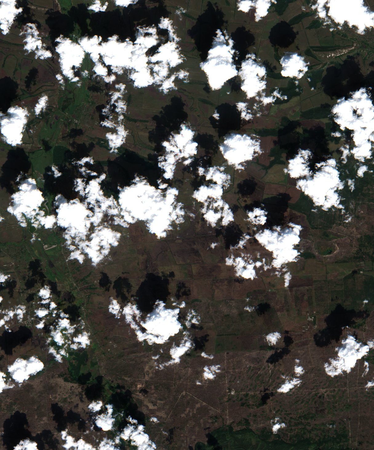 The area after the fire, August 20, 2026