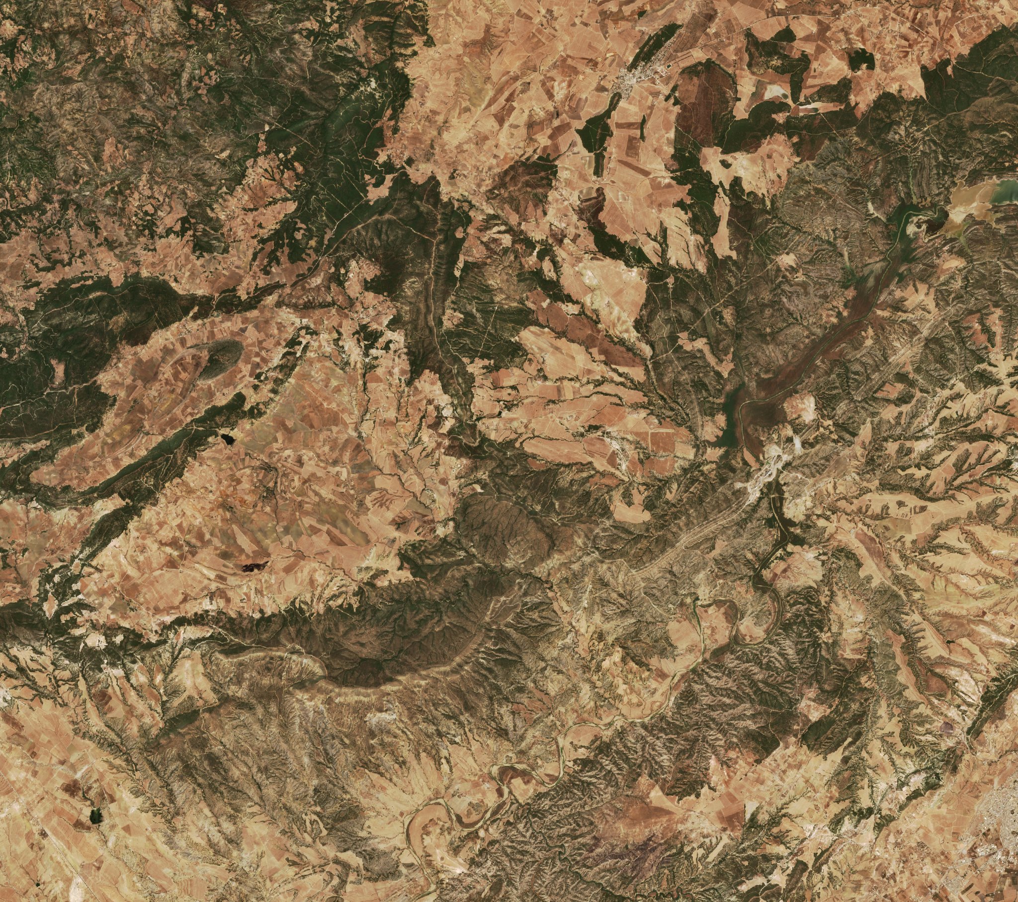 The area before the fire, July 11, 2026