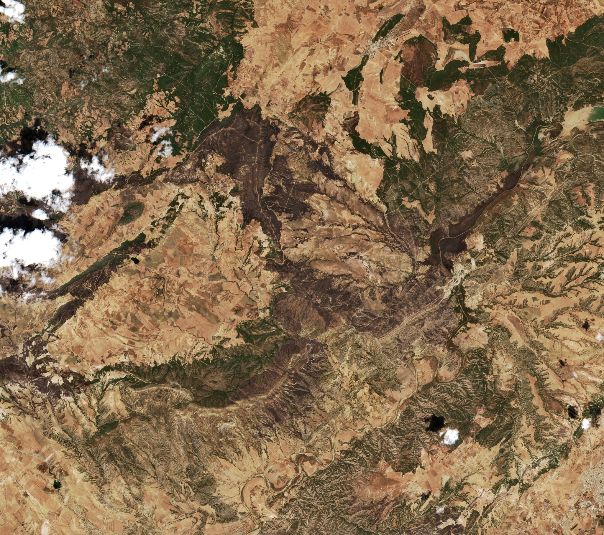 The area after the fire, July 31, 2026
