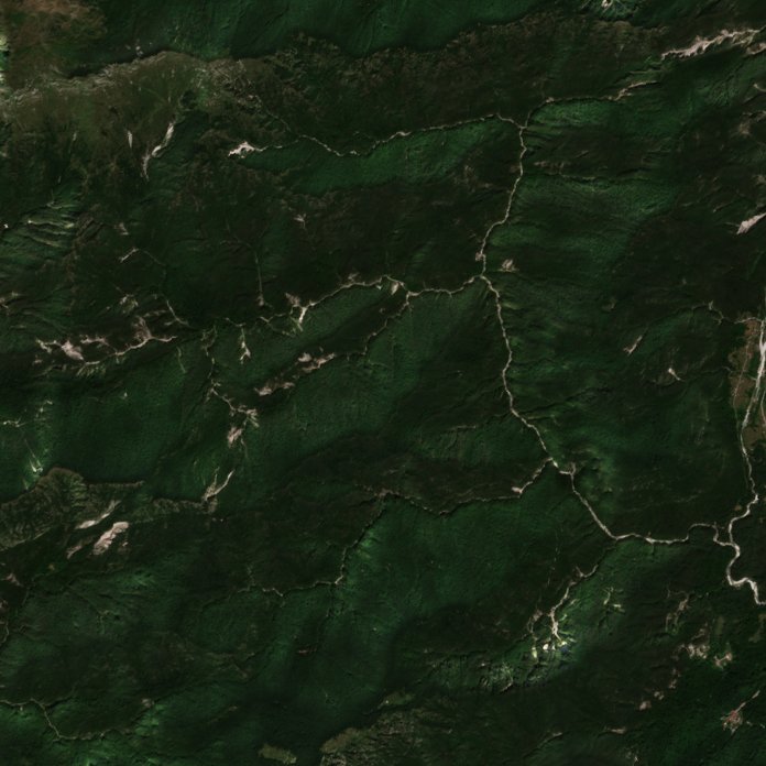 The area before the fire, August 4, 2026