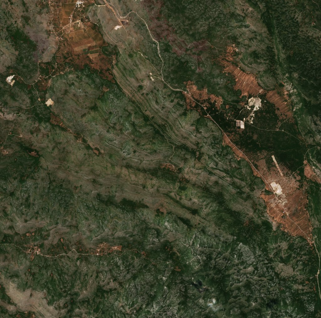 Sentinel-2 images