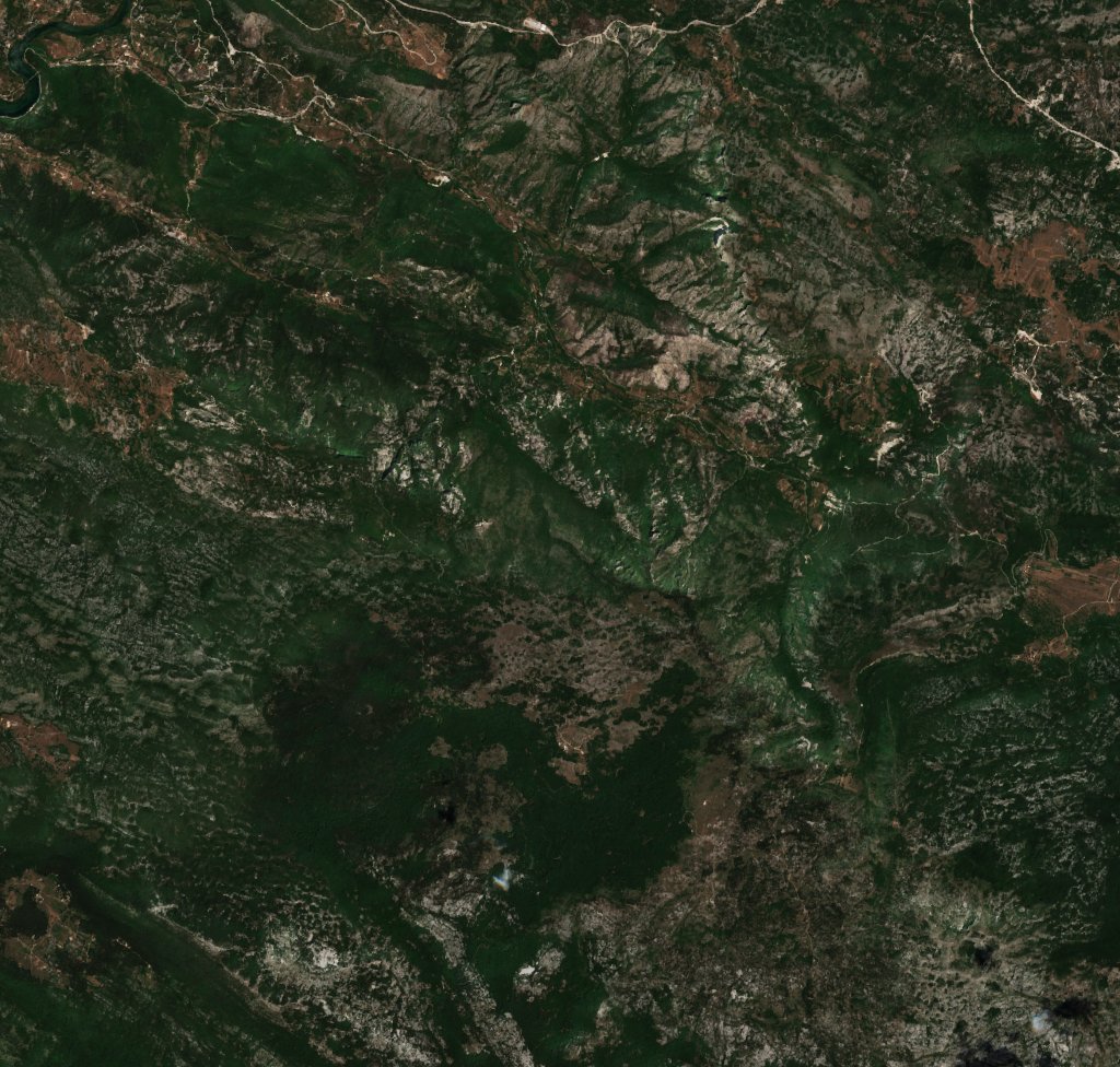 Sentinel-2 images