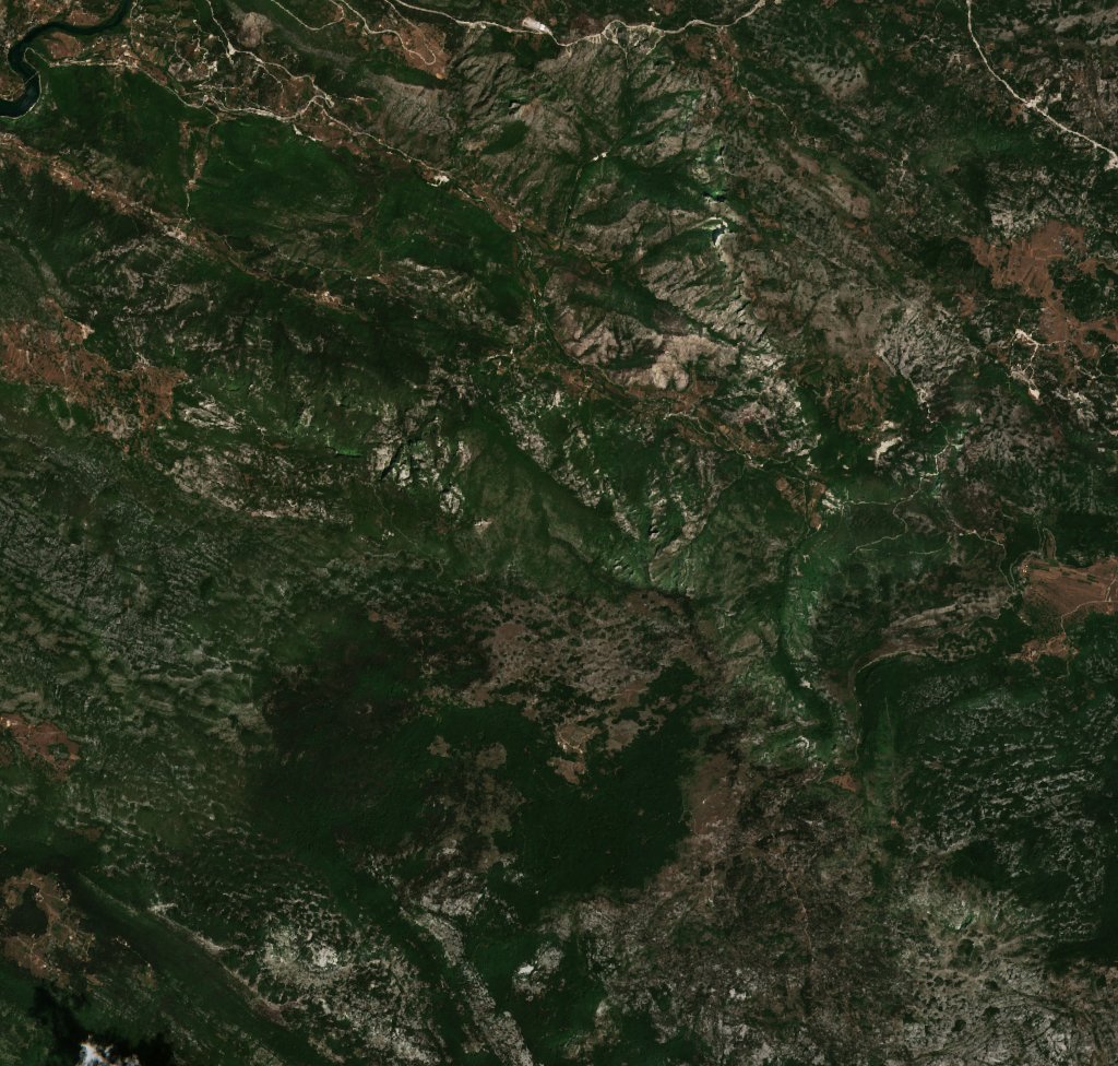 The area before the fire, July 18, 2022