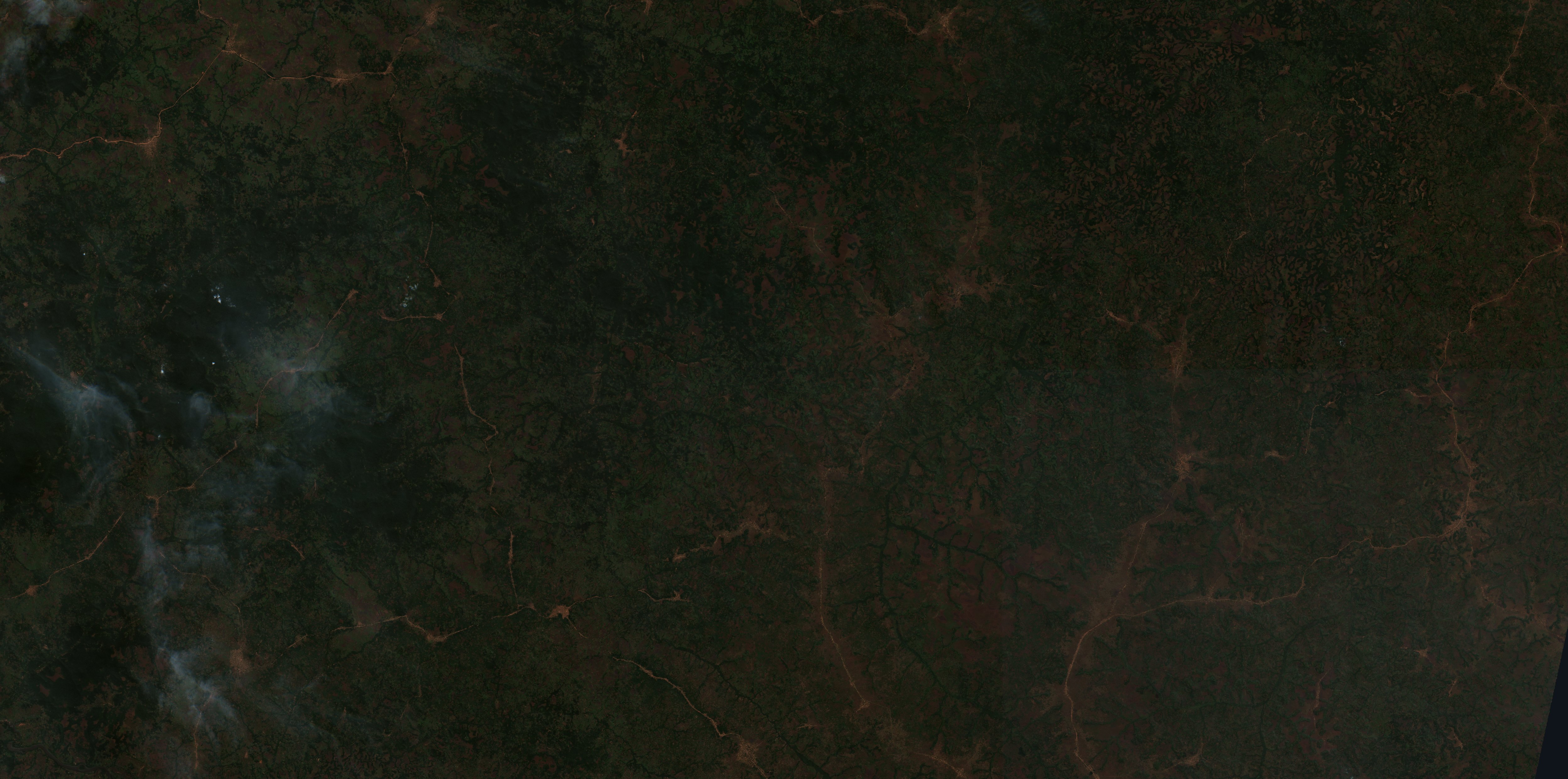 The area before the fire, June 25, 2020