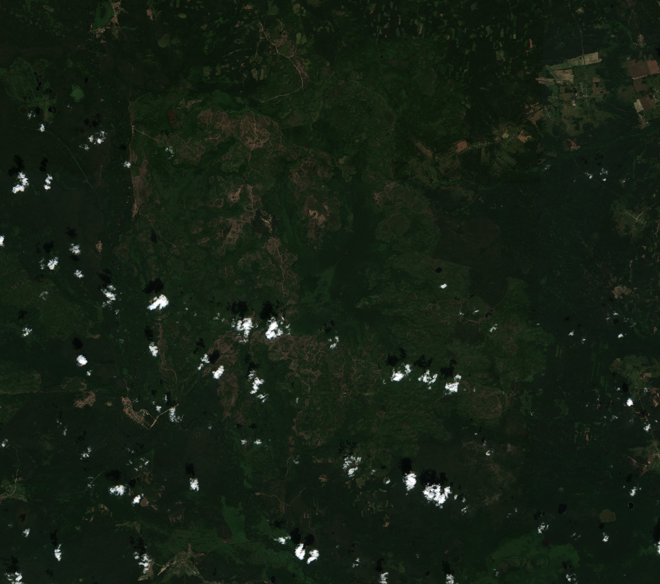 Sentinel-2 images