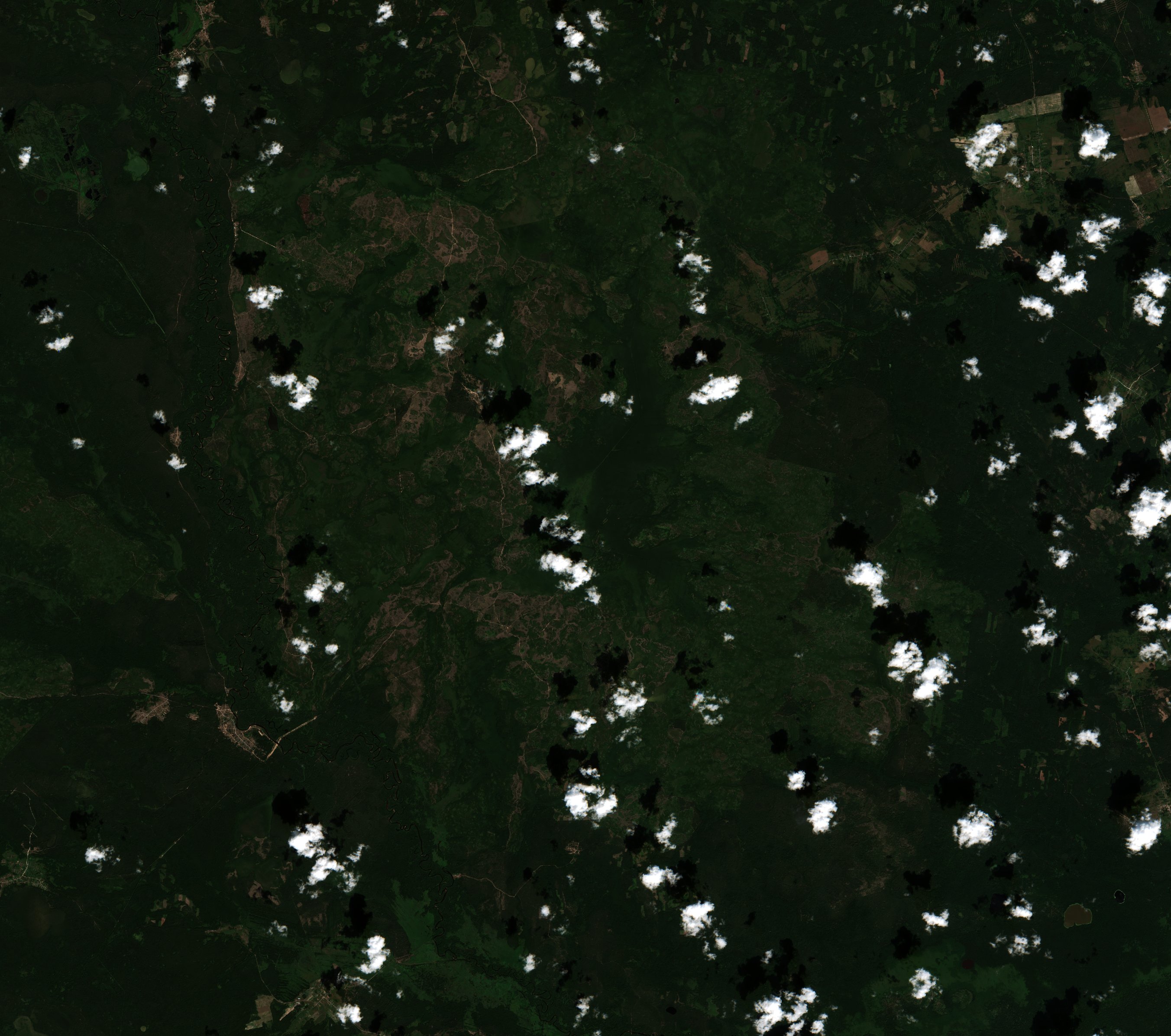 The area before the fire, July 30, 2022