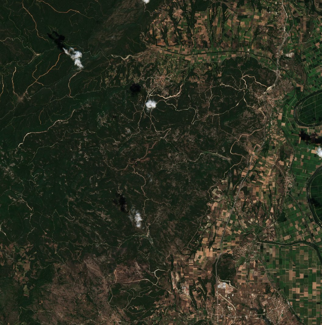 Sentinel-2 images