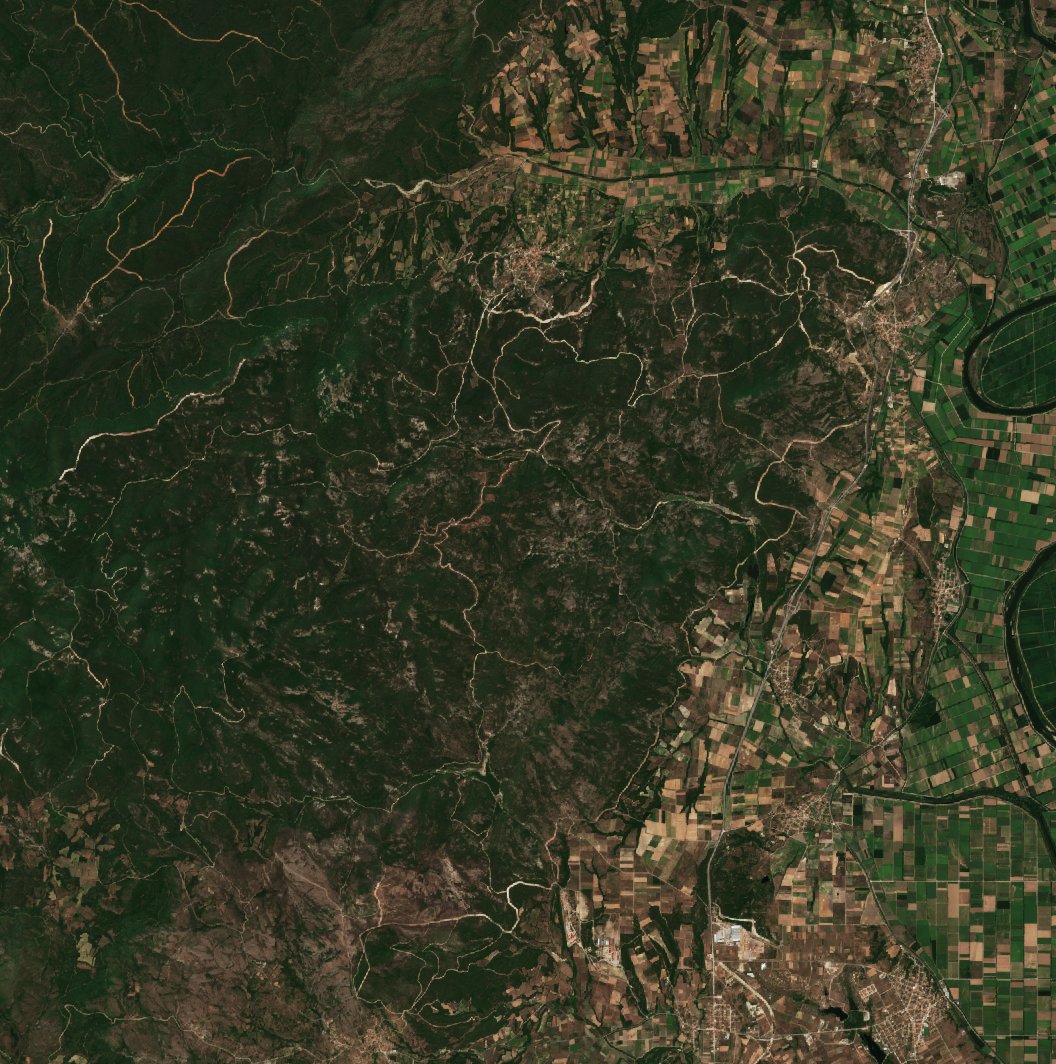 The area before the fire, July 16, 2022