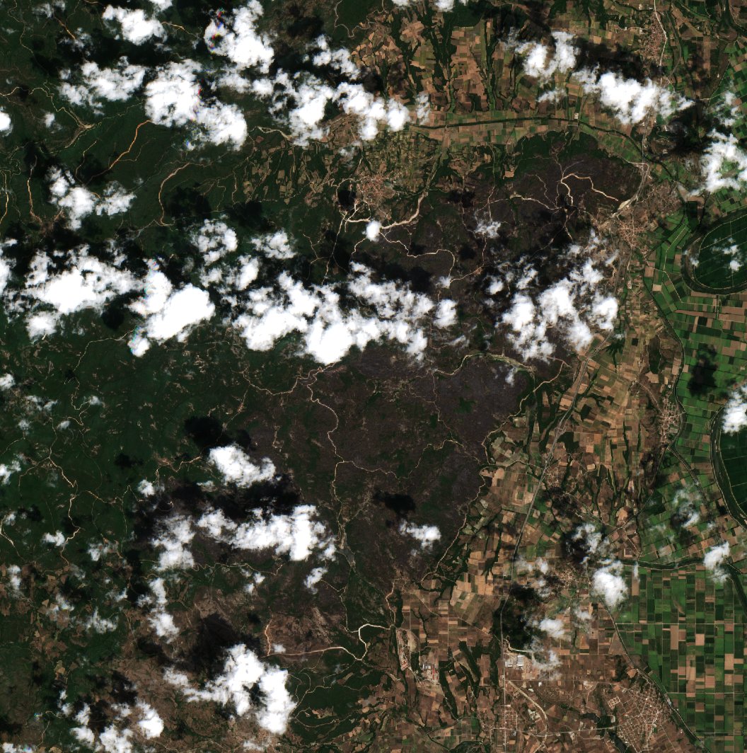 The area after the fire, July 29, 2022
