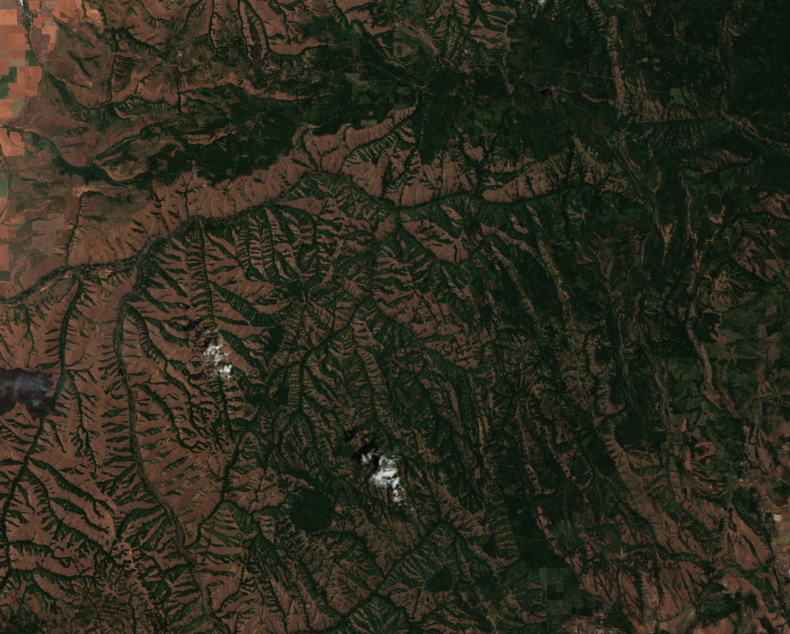 The area before the fire, July 7, 2026