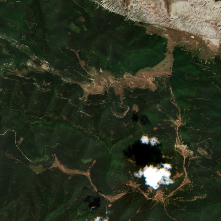 Sentinel-2 images