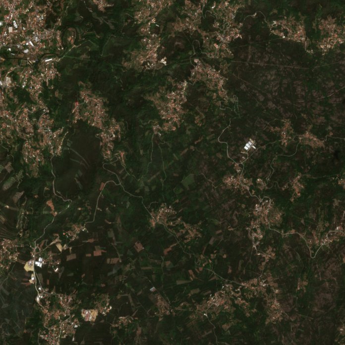The area before the fire, August 8, 2026