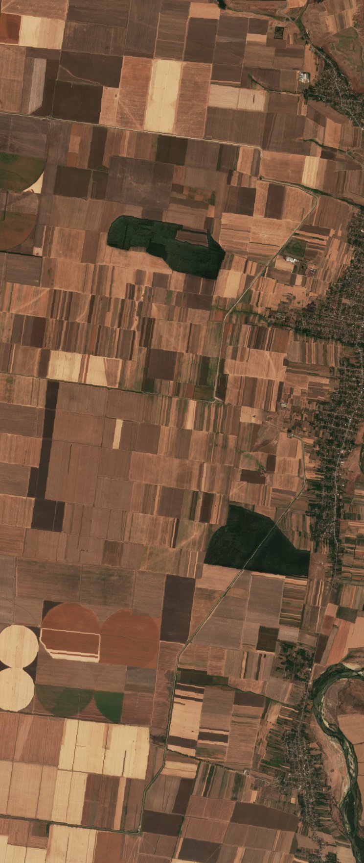 The area before the fire, September 11, 2026
