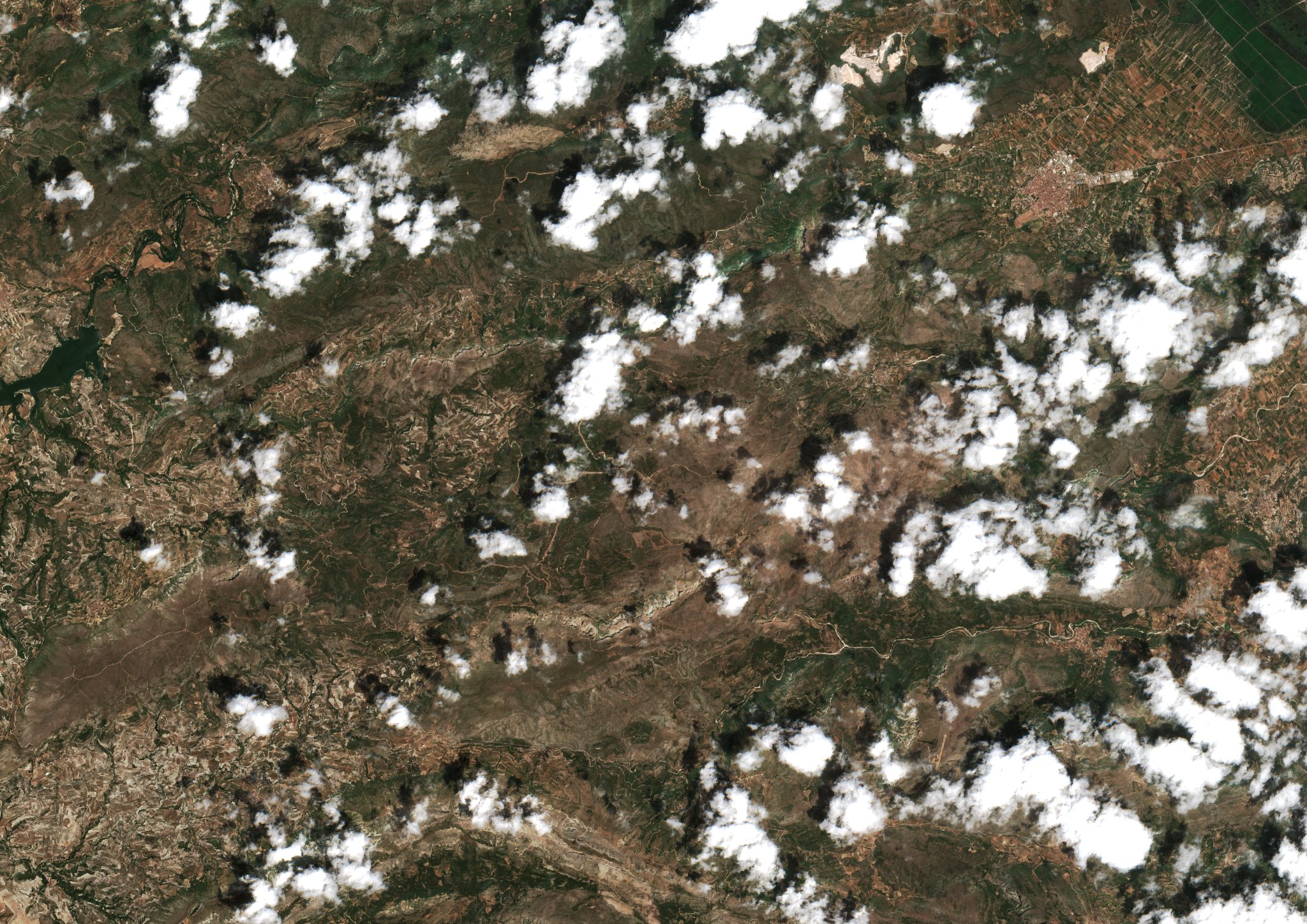 Sentinel-2 images
