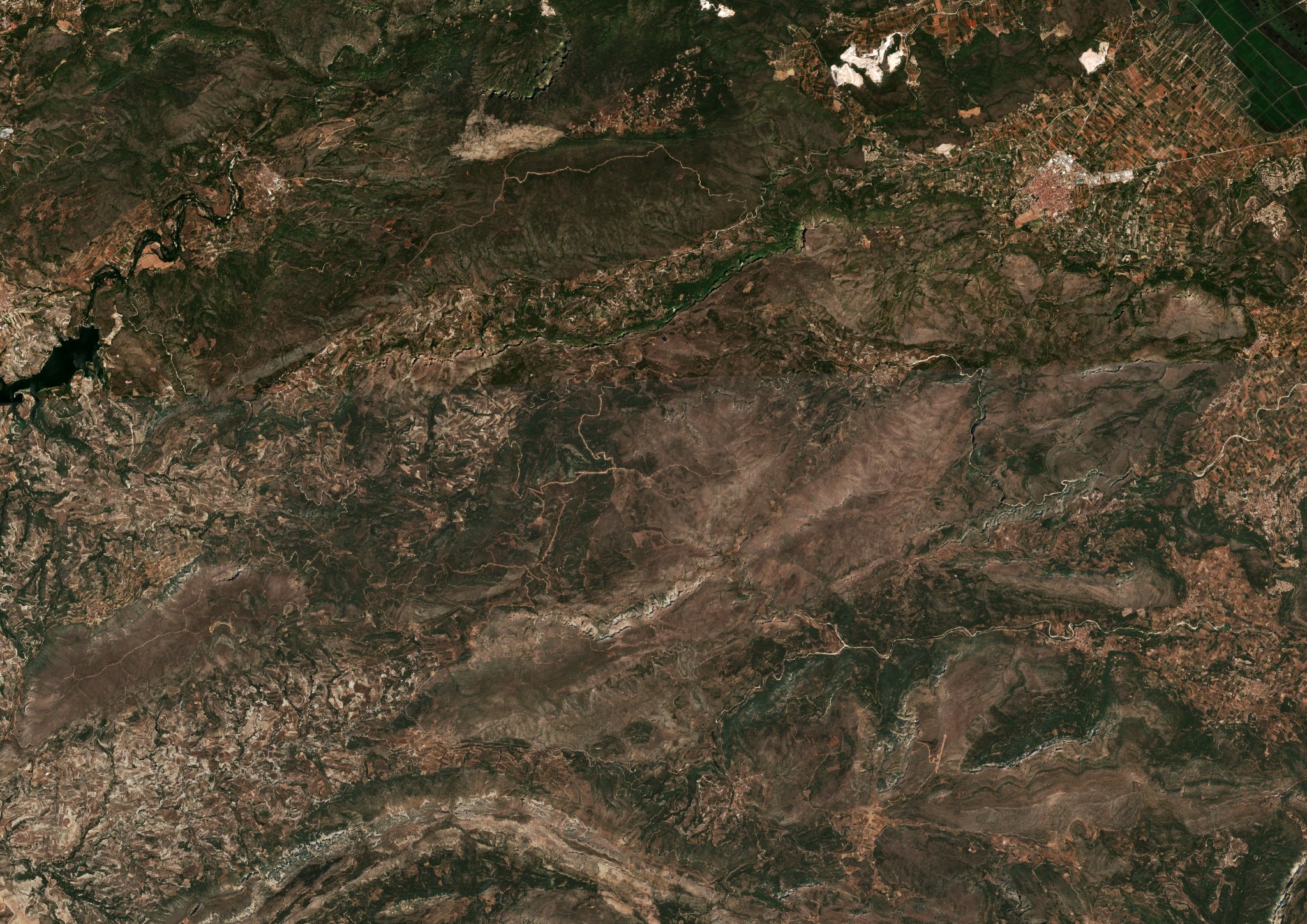 The area before the fire, August 3, 2022