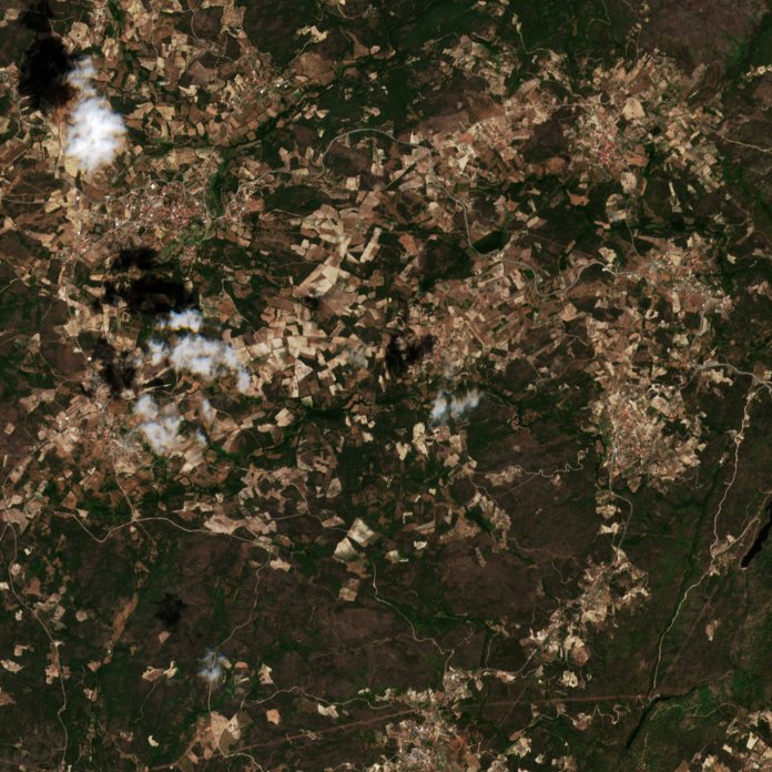 Sentinel-2 images