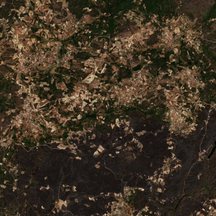 The area before the fire, August 6, 2026
