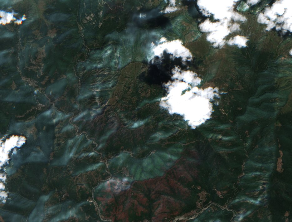 The area before the fire, August 6, 2026