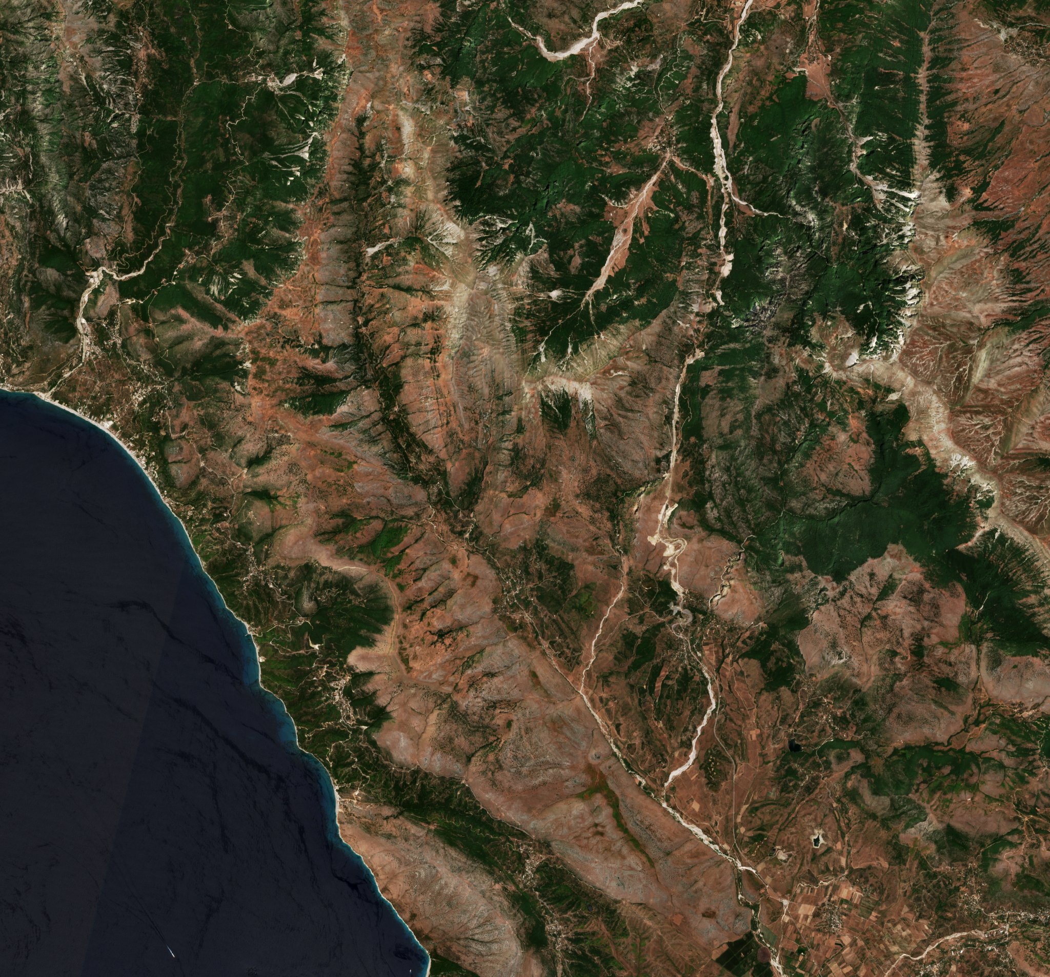 The area before the fire, July 14, 2025