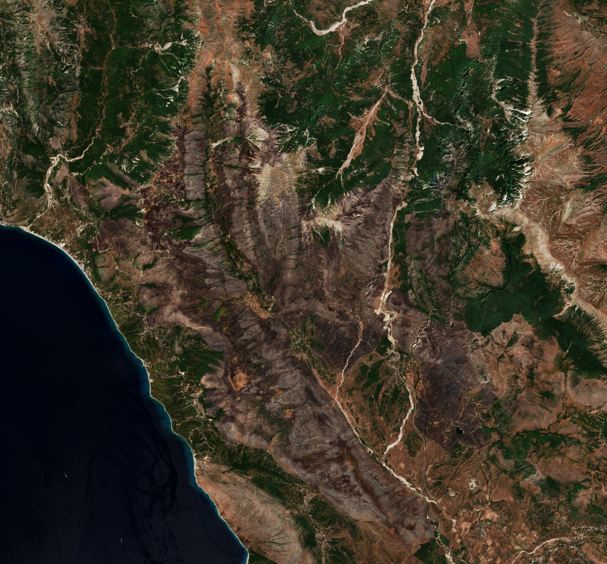 The area after the fire, August 3, 2025