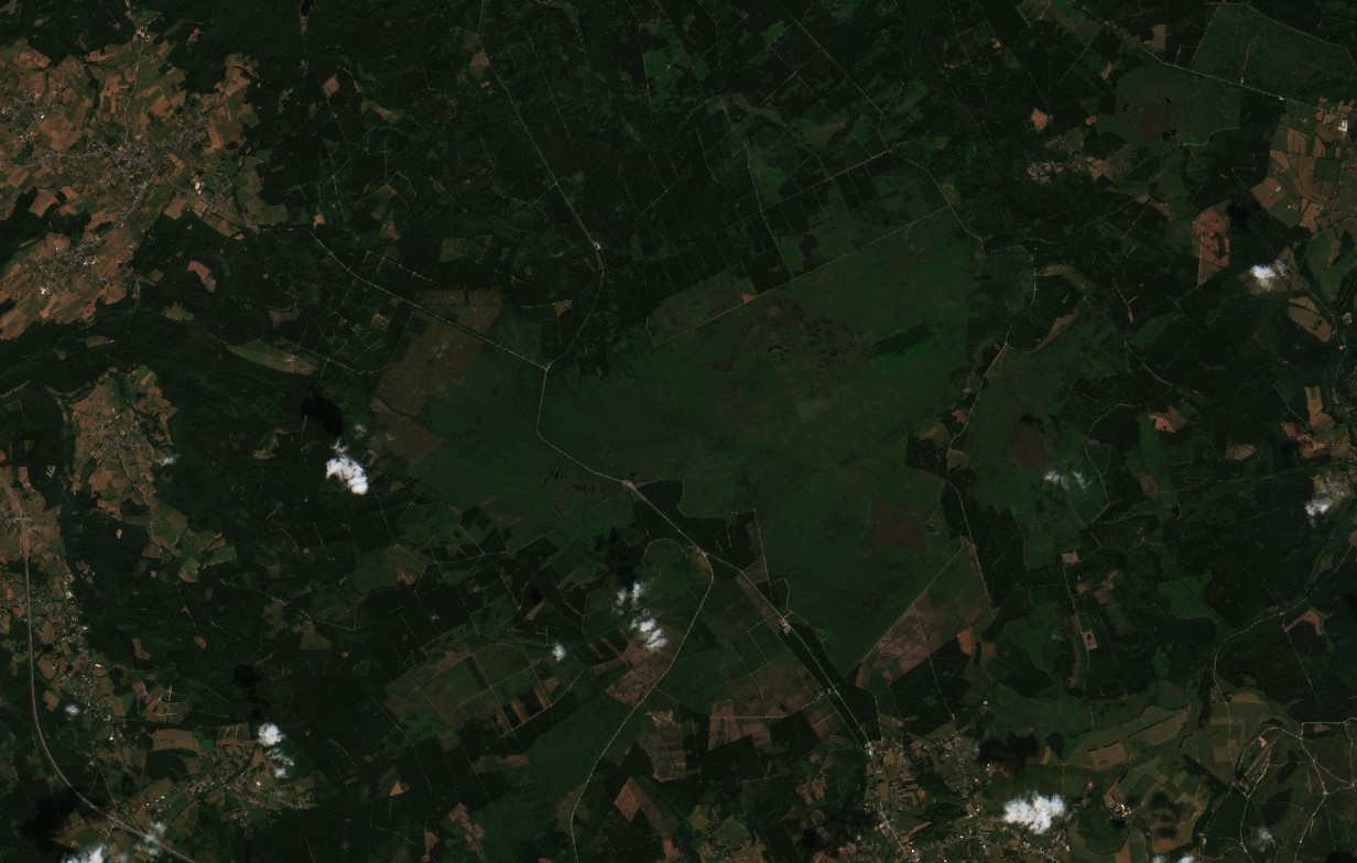 The area before the fire, July 25, 2026