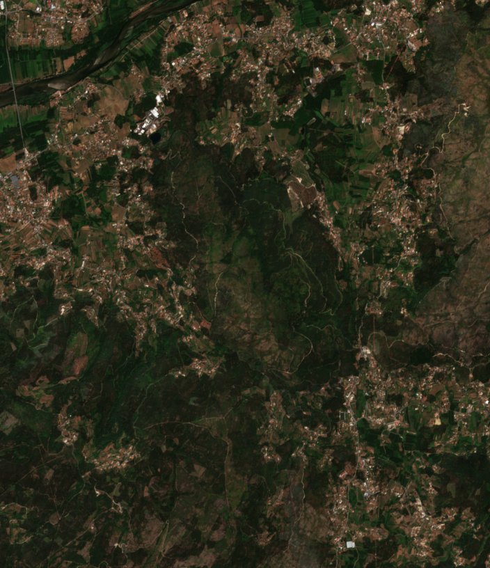 The area before the fire, July 29, 2026