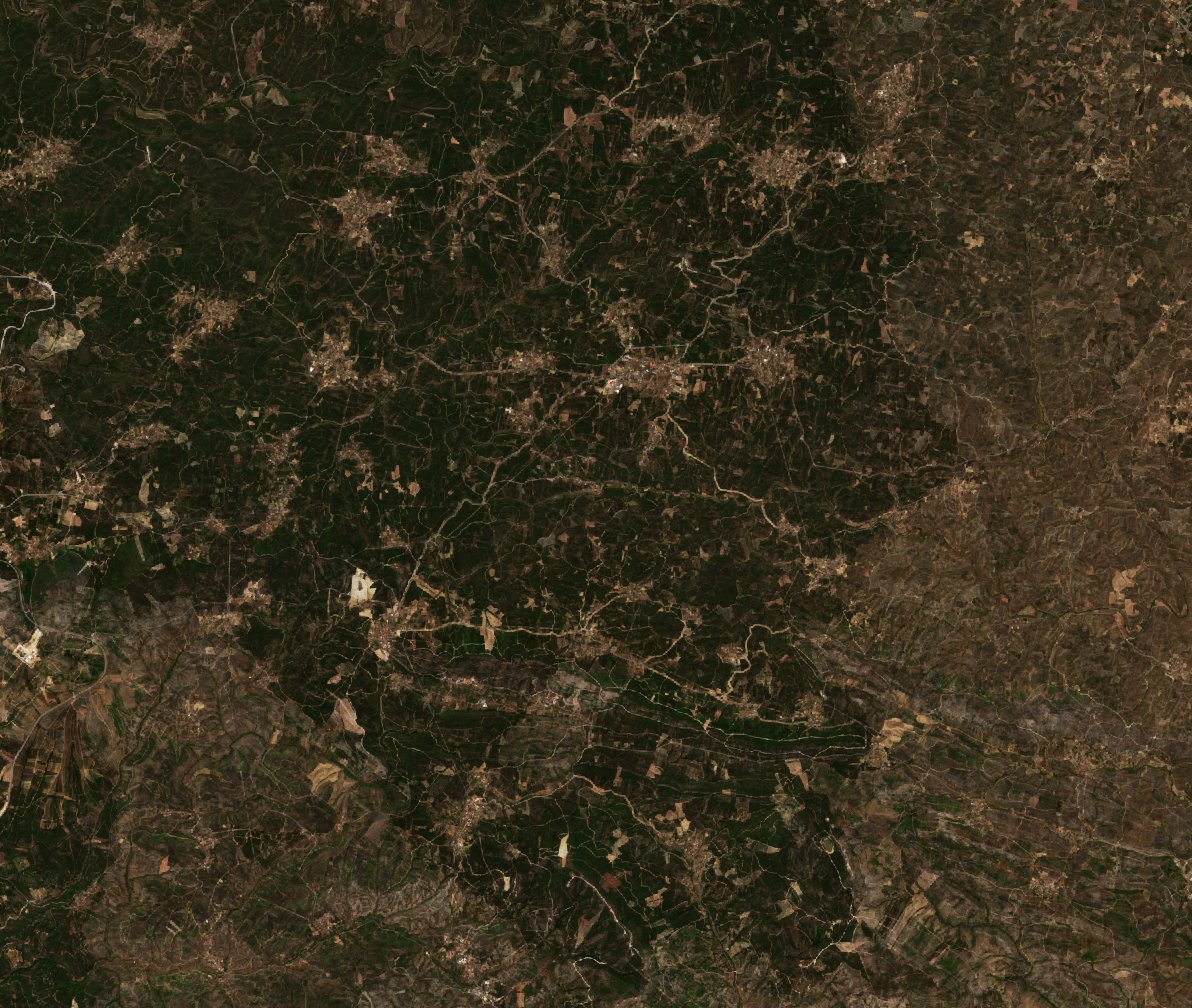 The area before the fire, July 14, 2019