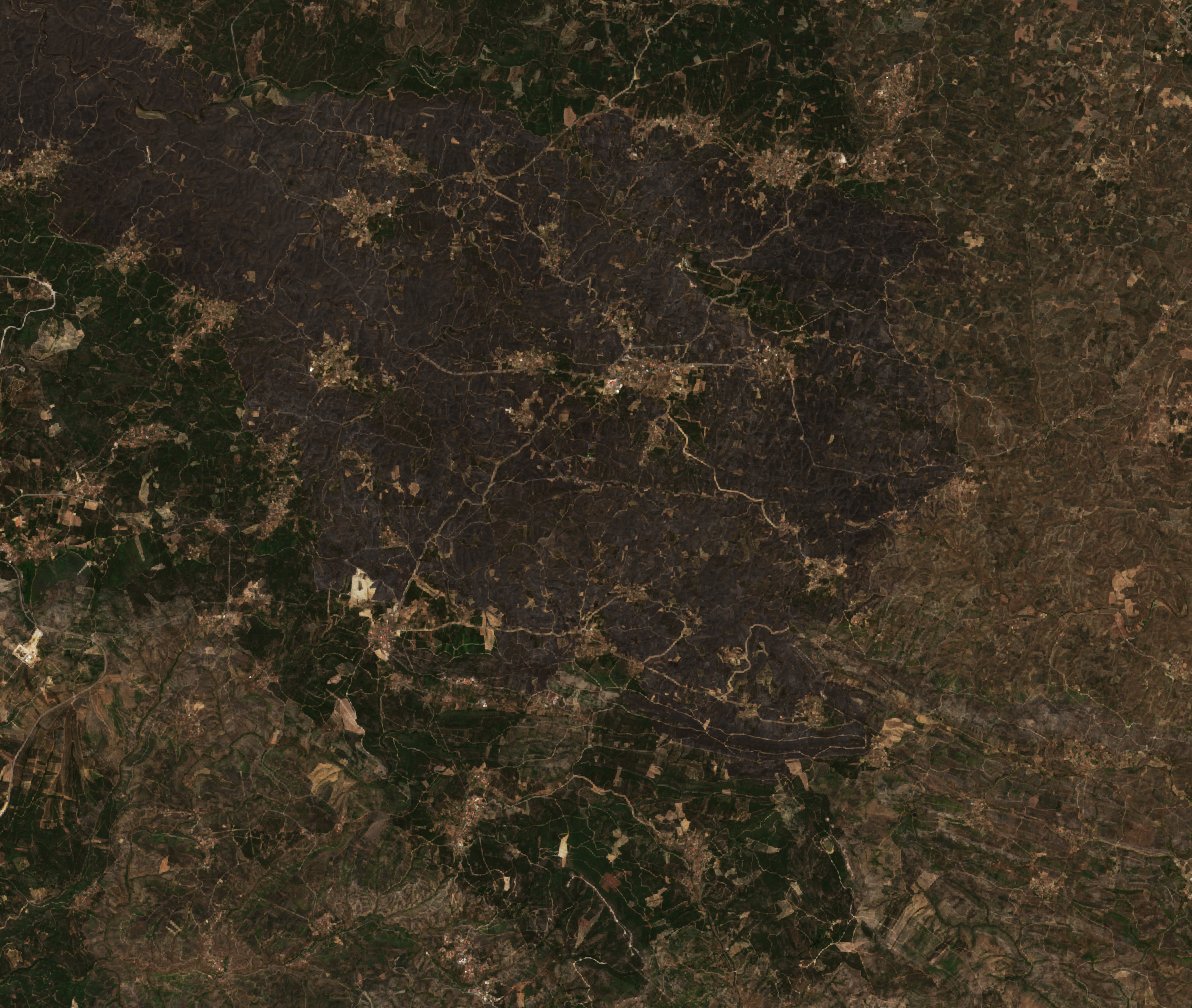 The area after the fire, July 24, 2019