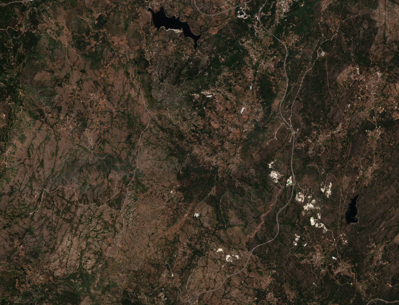 Sentinel-2 images