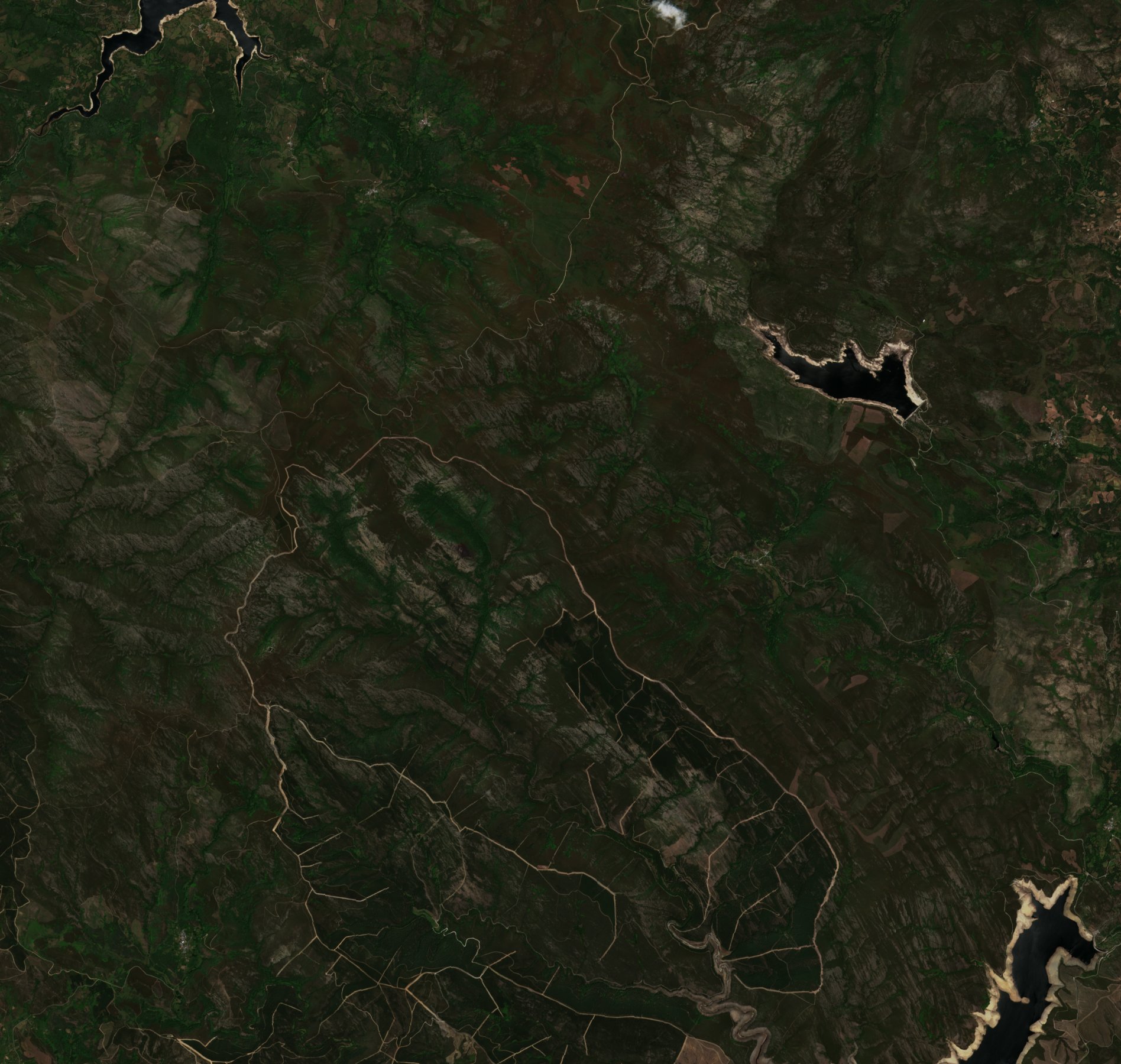 The area before the fire, June 28, 2022