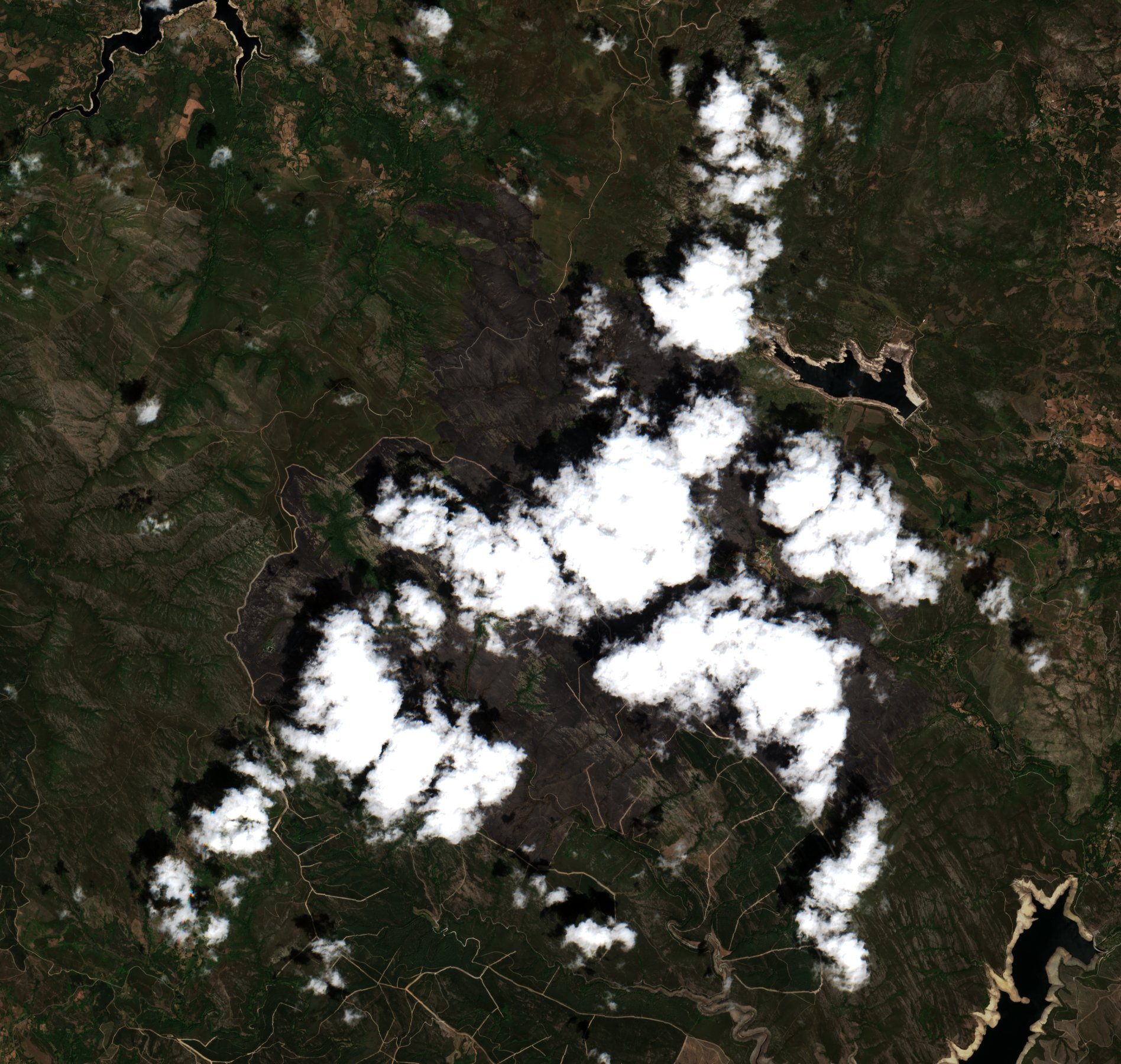 The area after the fire, July 28, 2022