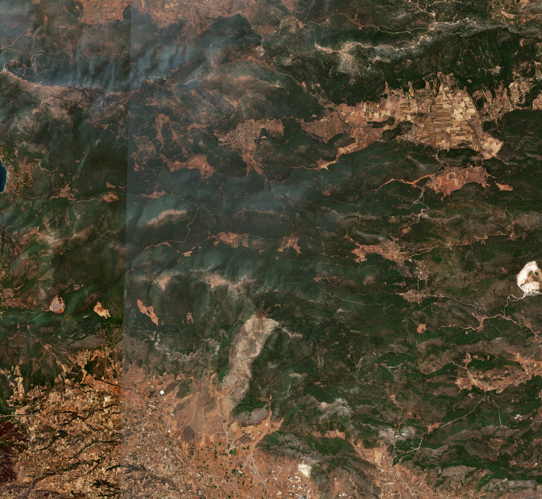 The area before the fire, August 8, 2021
