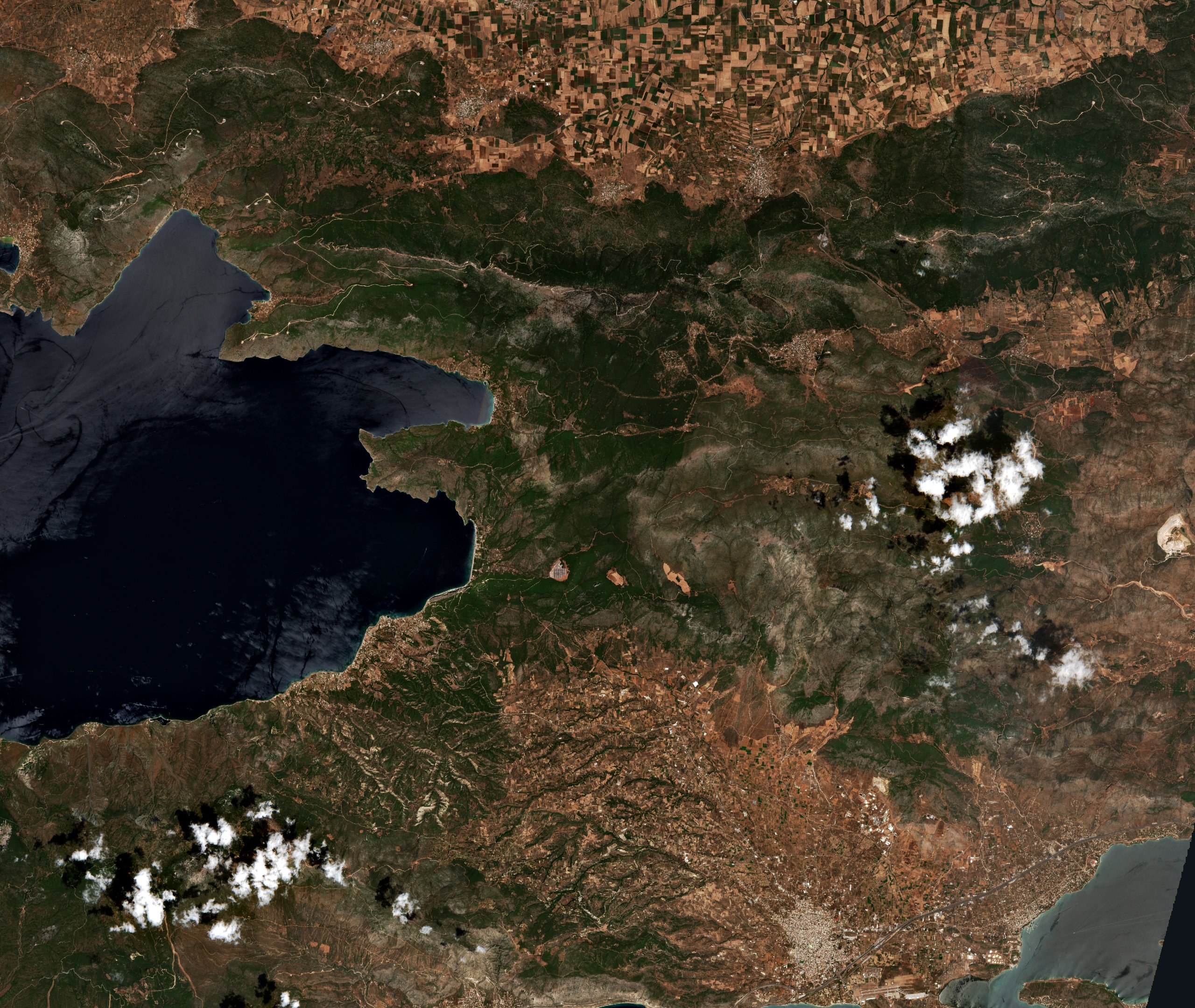 The area before the fire, July 26, 2026