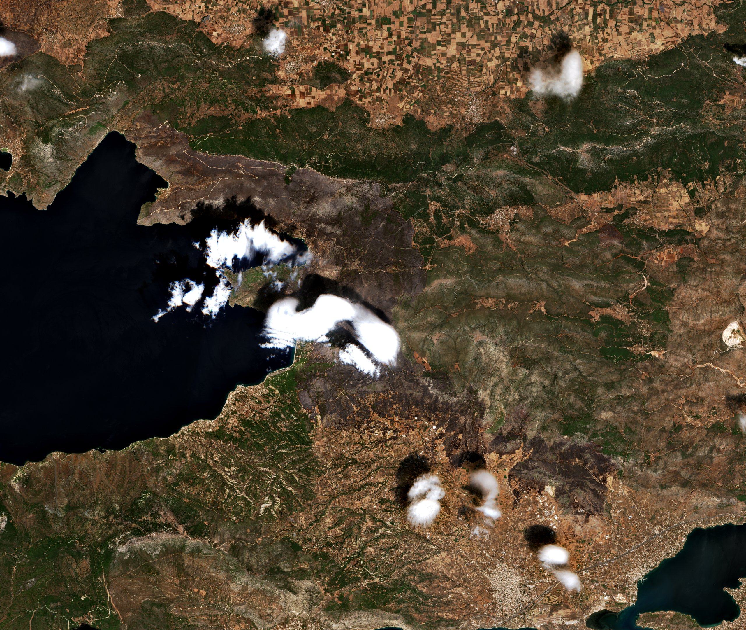 The area after the fire, August 7, 2026