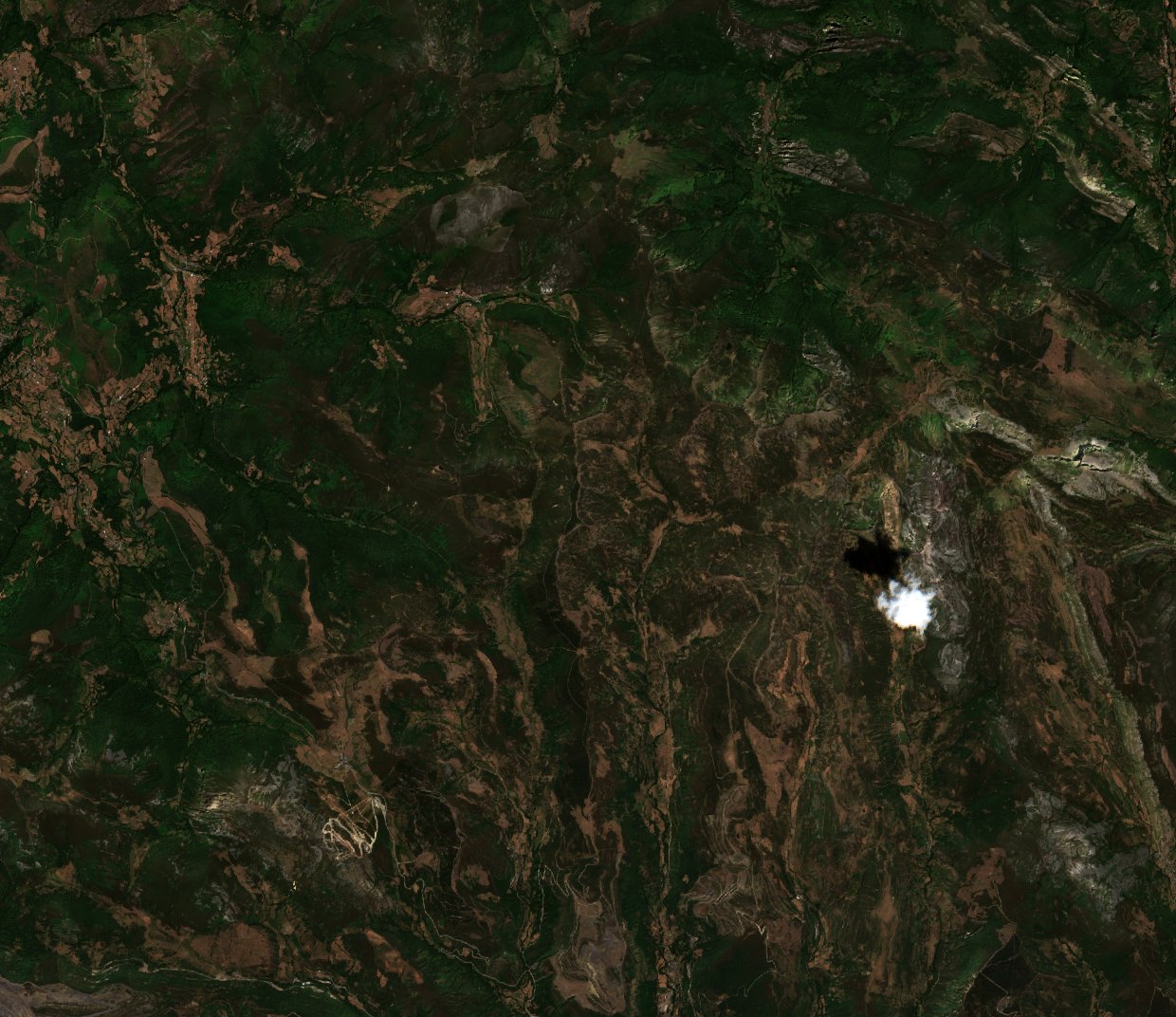 The area before the fire, August 1, 2025