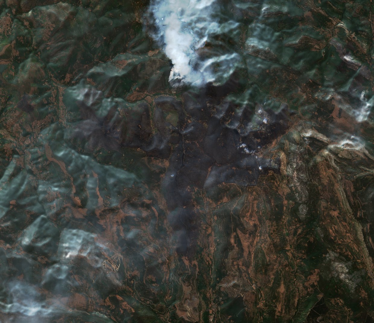 The area after the fire, August 23, 2025