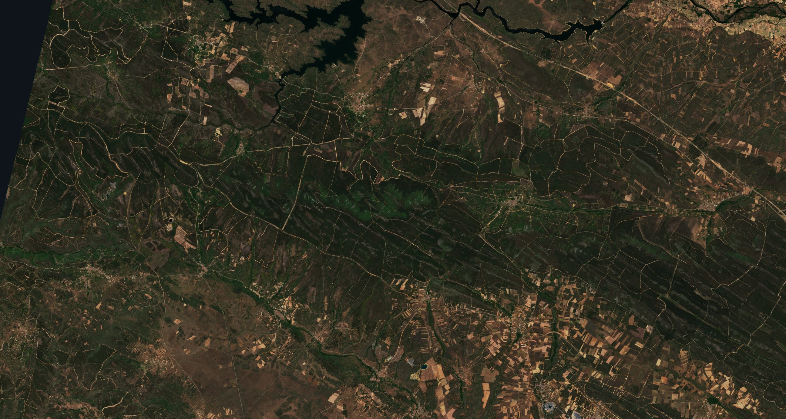 The area before the fire, June 10, 2022
