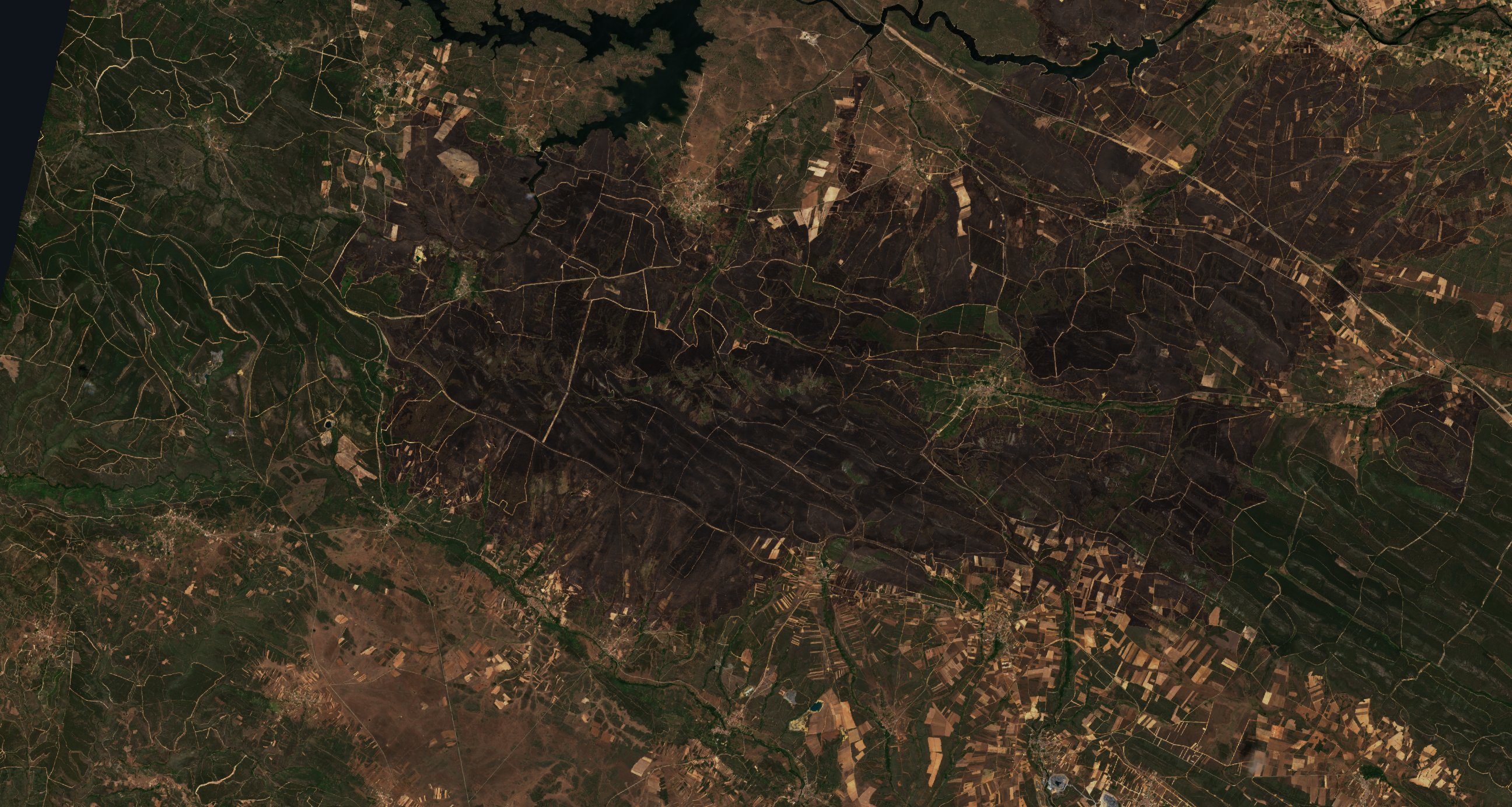 The area after the fire, June 25, 2022