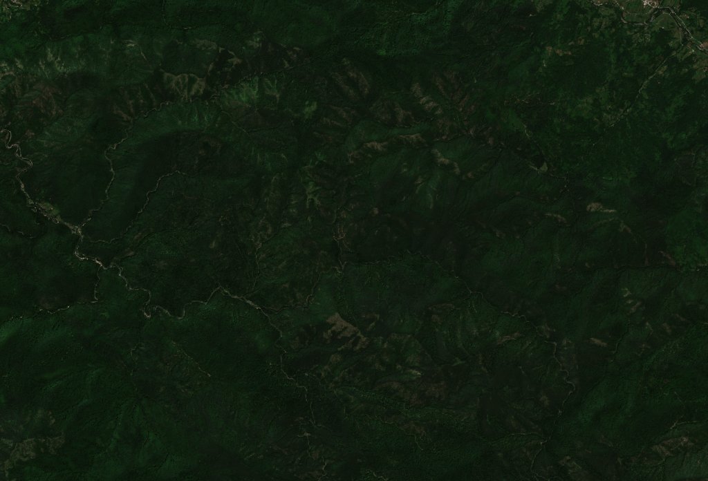 Sentinel-2 images
