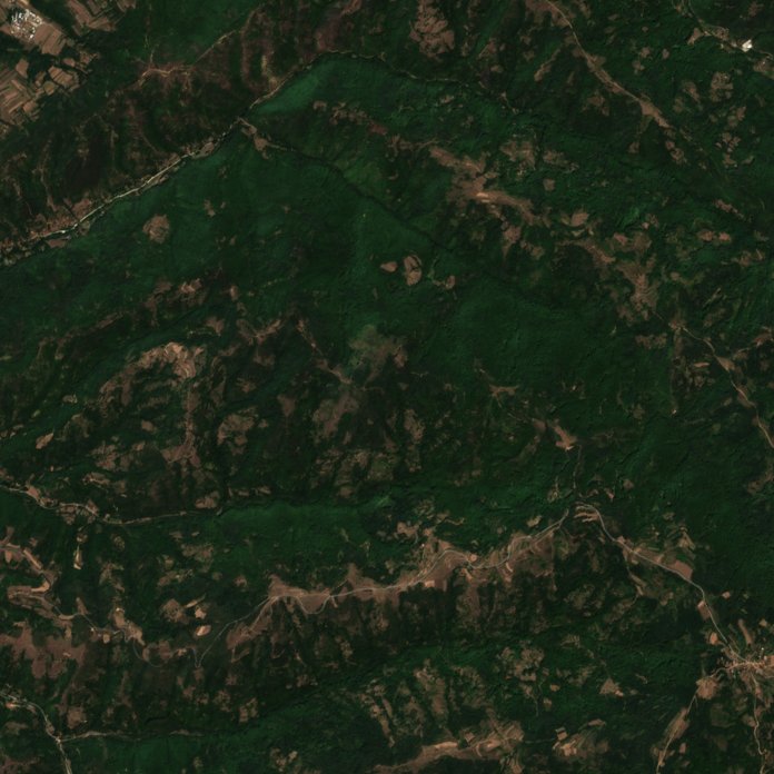 The area before the fire, August 15, 2026