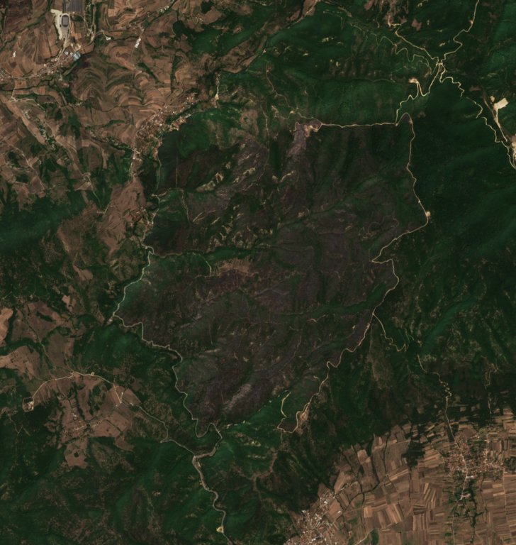 The area after the fire, August 20, 2026
