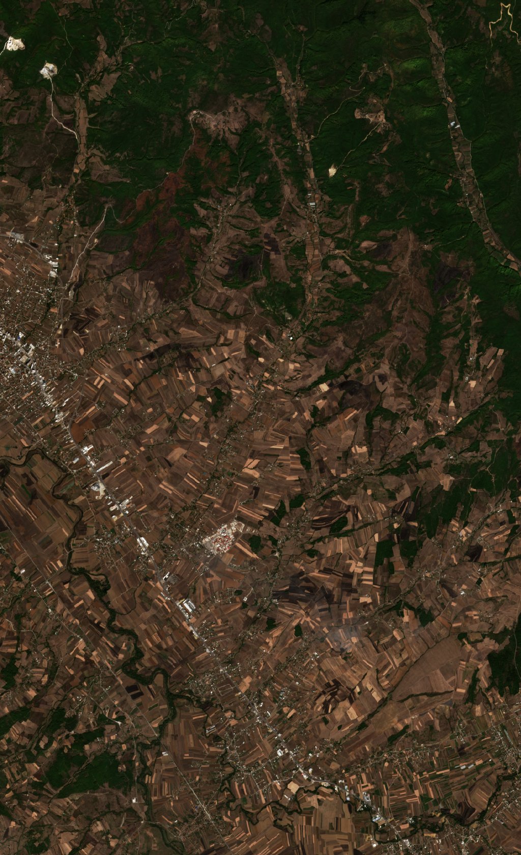 The area after the fire, October 4, 2026