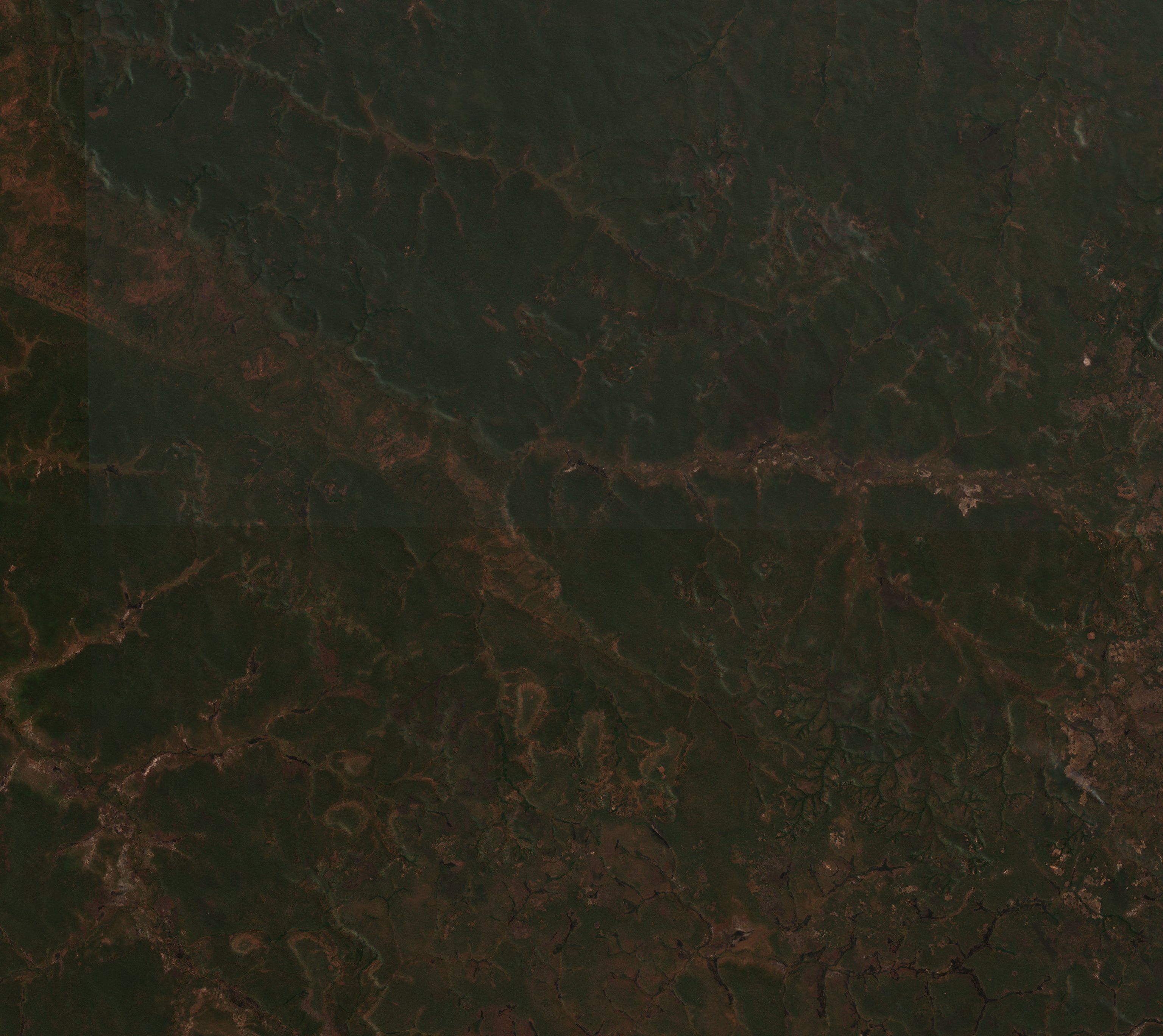 Sentinel-2 images