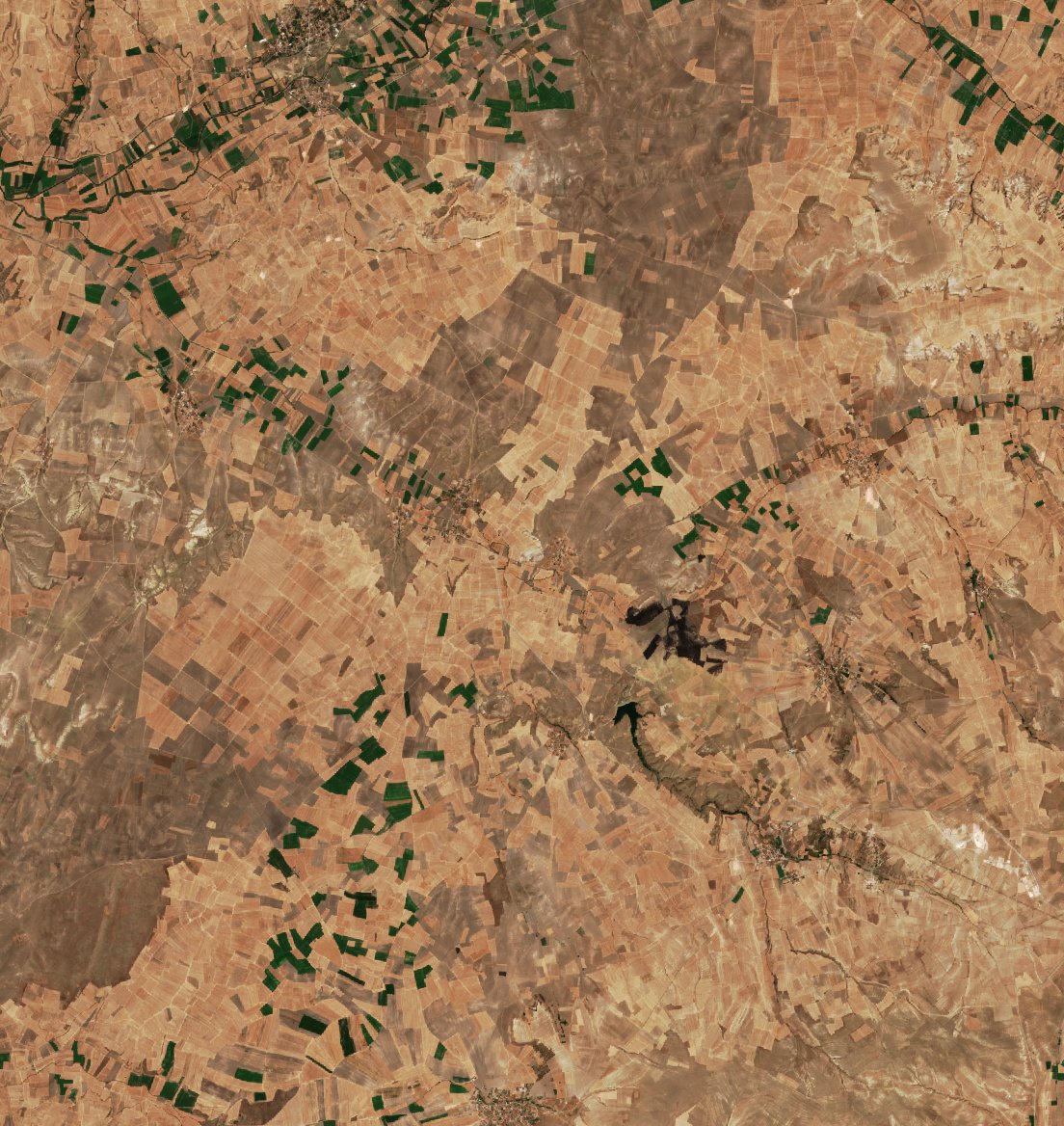 The area before the fire, August 7, 2026