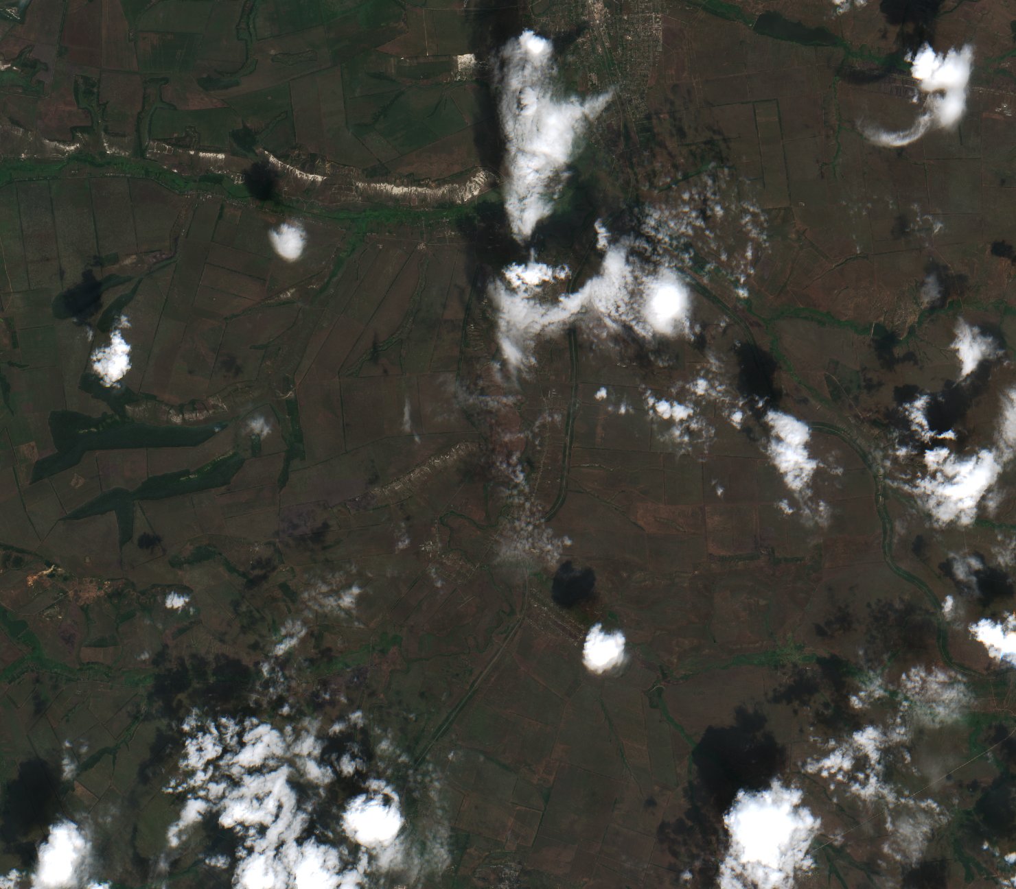 Sentinel-2 images