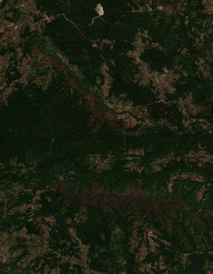 The area after the fire, September 5, 2026